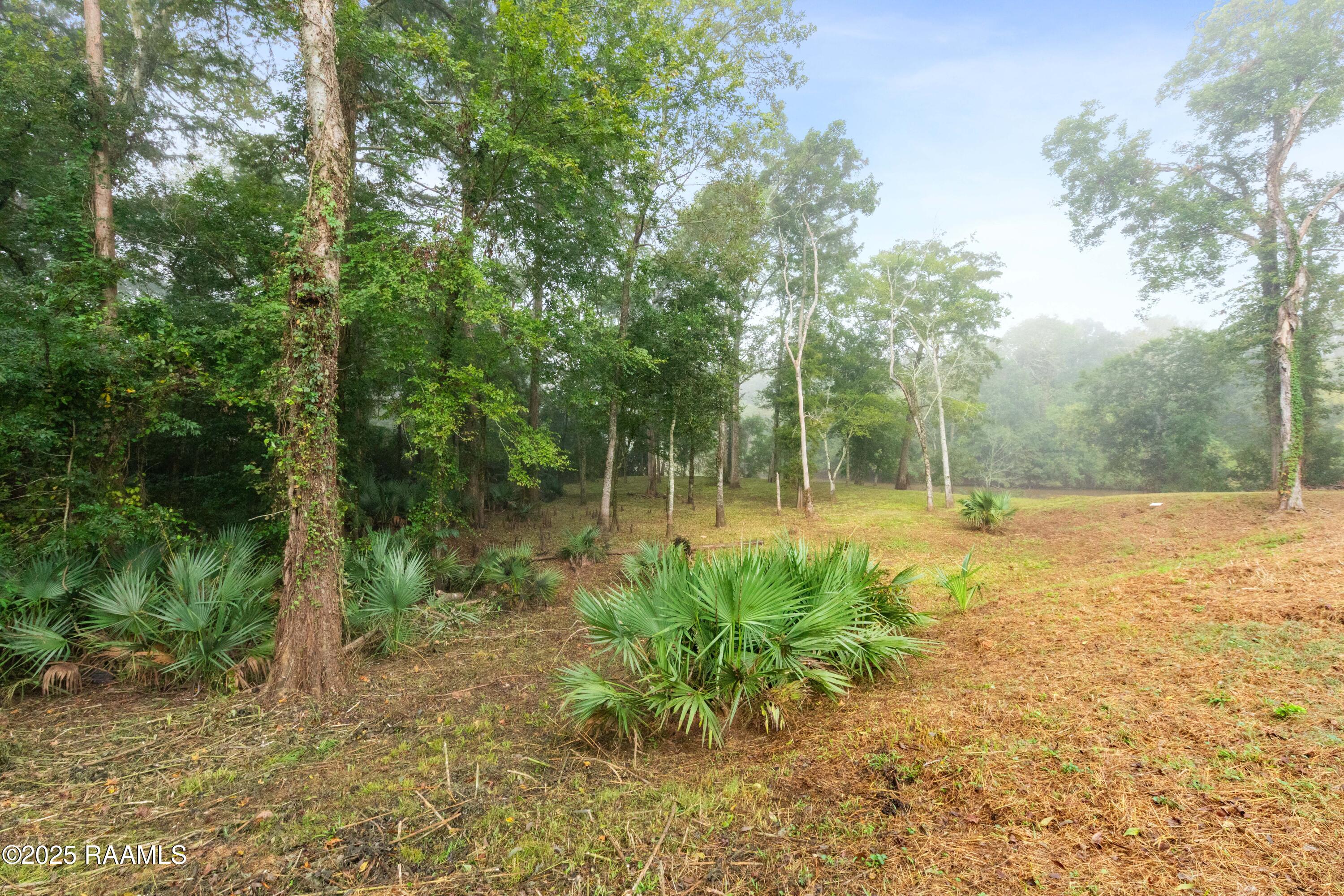 139 Gentry Drive Washington, LA 70589 - Photo 43 of 47 139Gentry-13