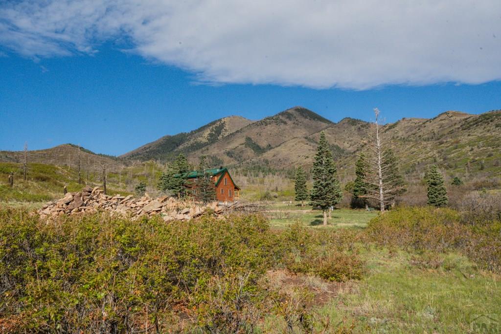 2004 Bear Springs Road Walsenburg, CO 81089 - Photo 34 of 68