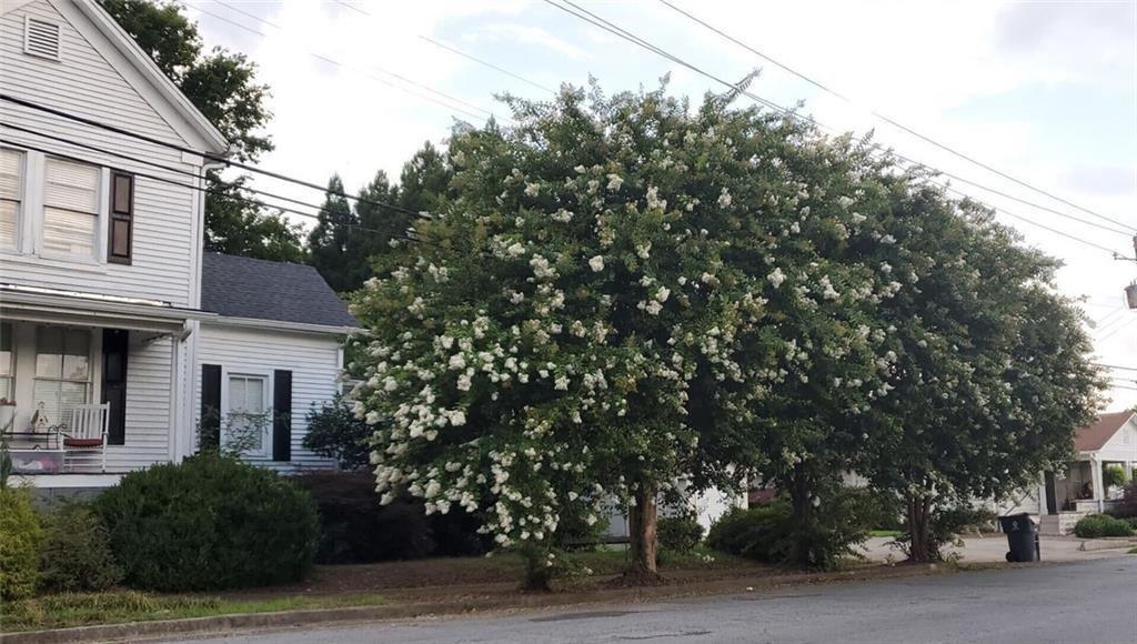 300 Church Street Rockmart, GA 30153 - Photo 16 of 63 a house with trees in front of it