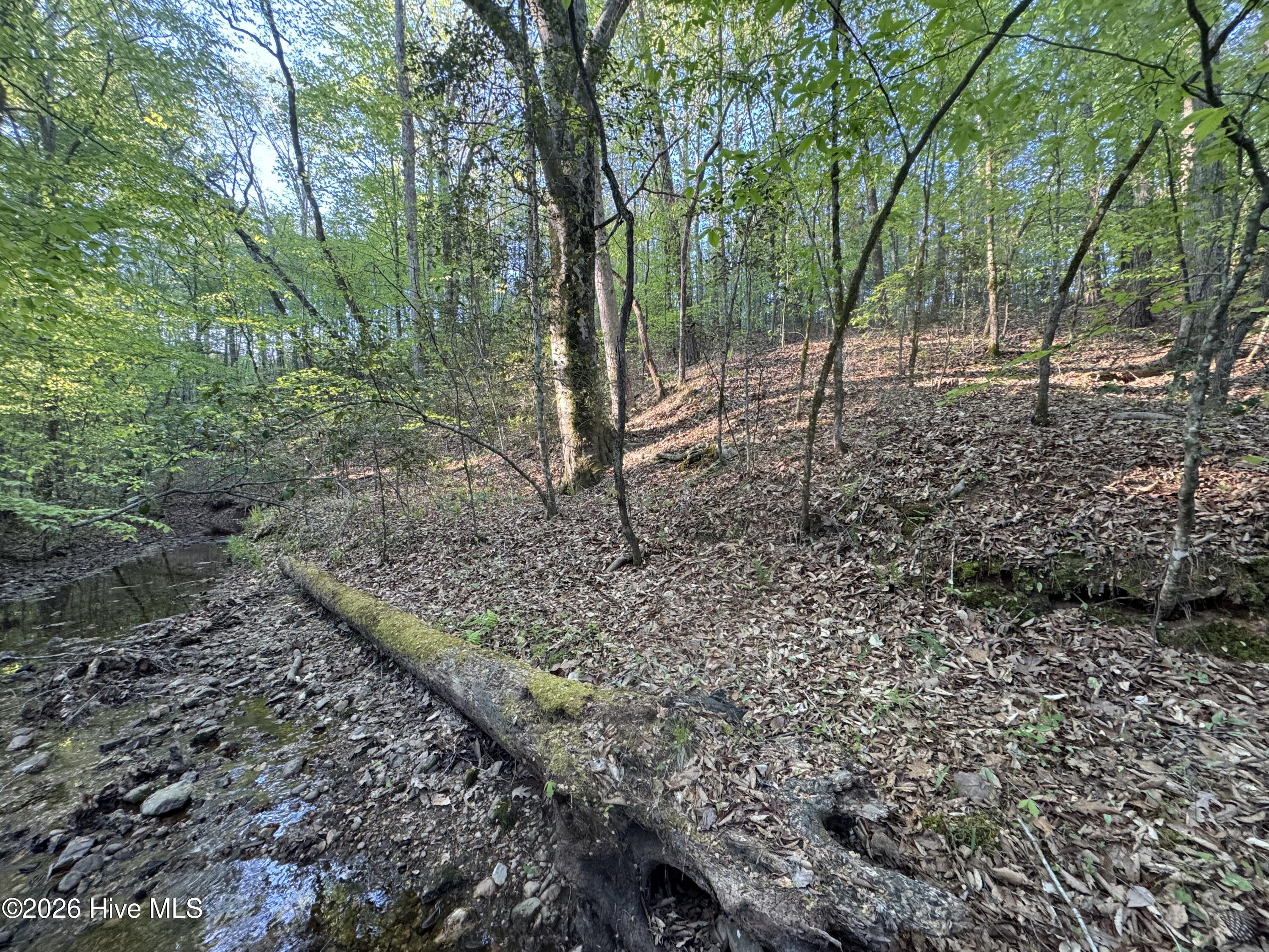 0 Cartledge Creek Road Rockingham, NC 28379 - Photo 14 of 32 Cartledge Creek