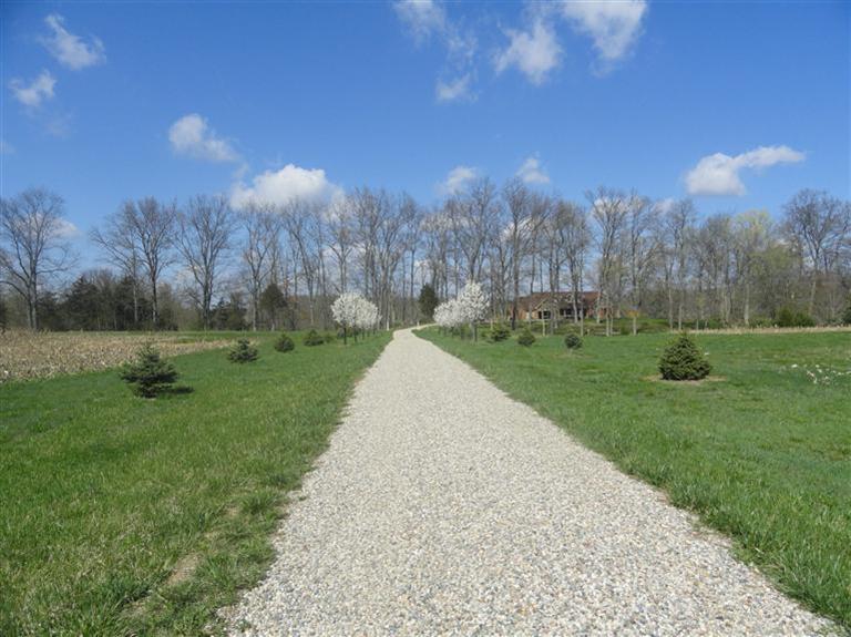 12810 Egypt Road Hudson, MI 49247 - Photo 20 of 23 Additional Photo