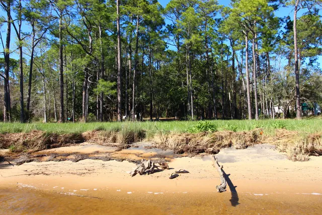 a view of a road with a yard