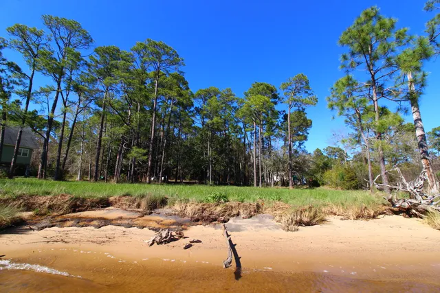 a view of a yard with a tree