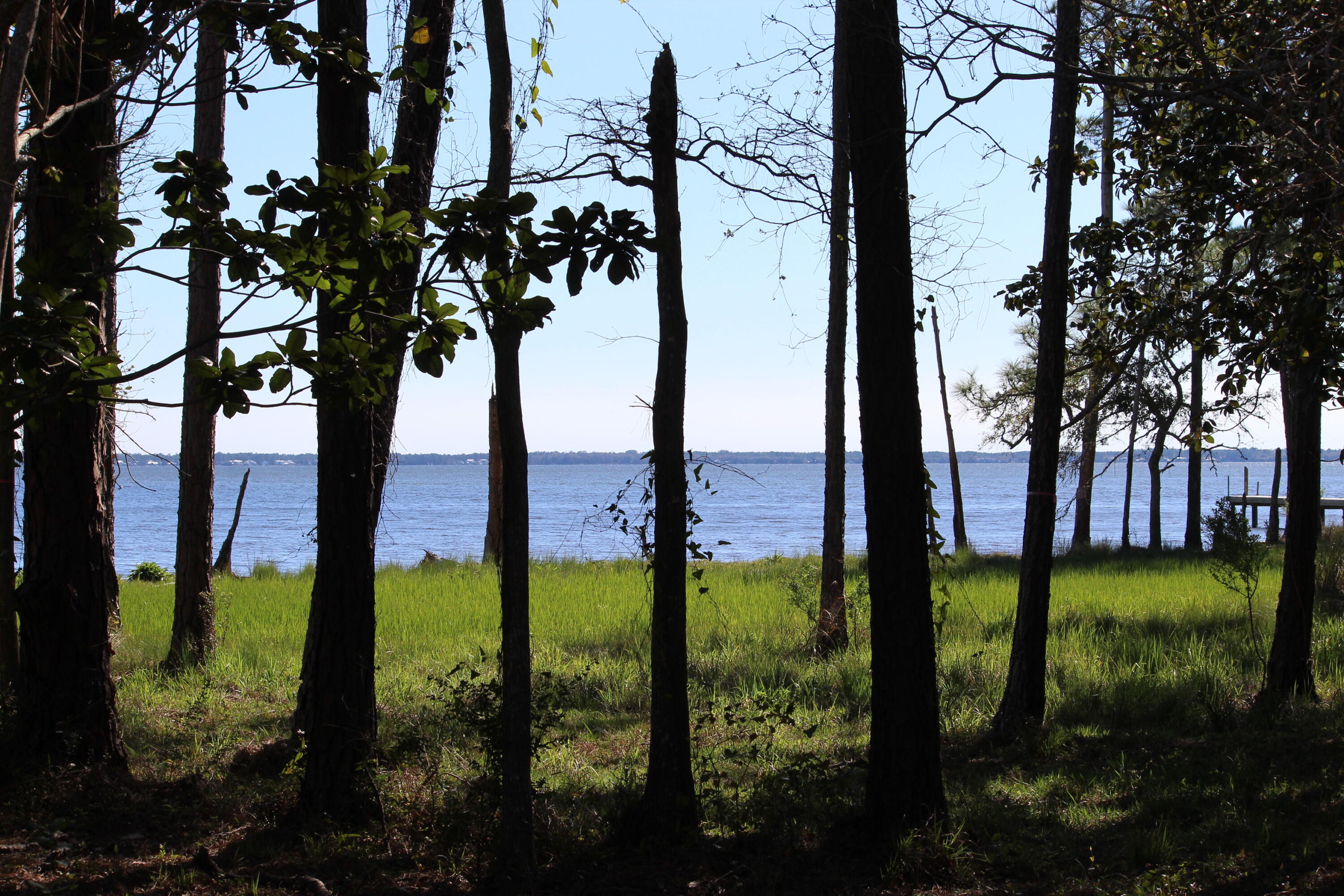 Lot 6-7 Alden Lane Freeport, FL 32439 - Photo 22 of 26 a view of swimming pool from a yard