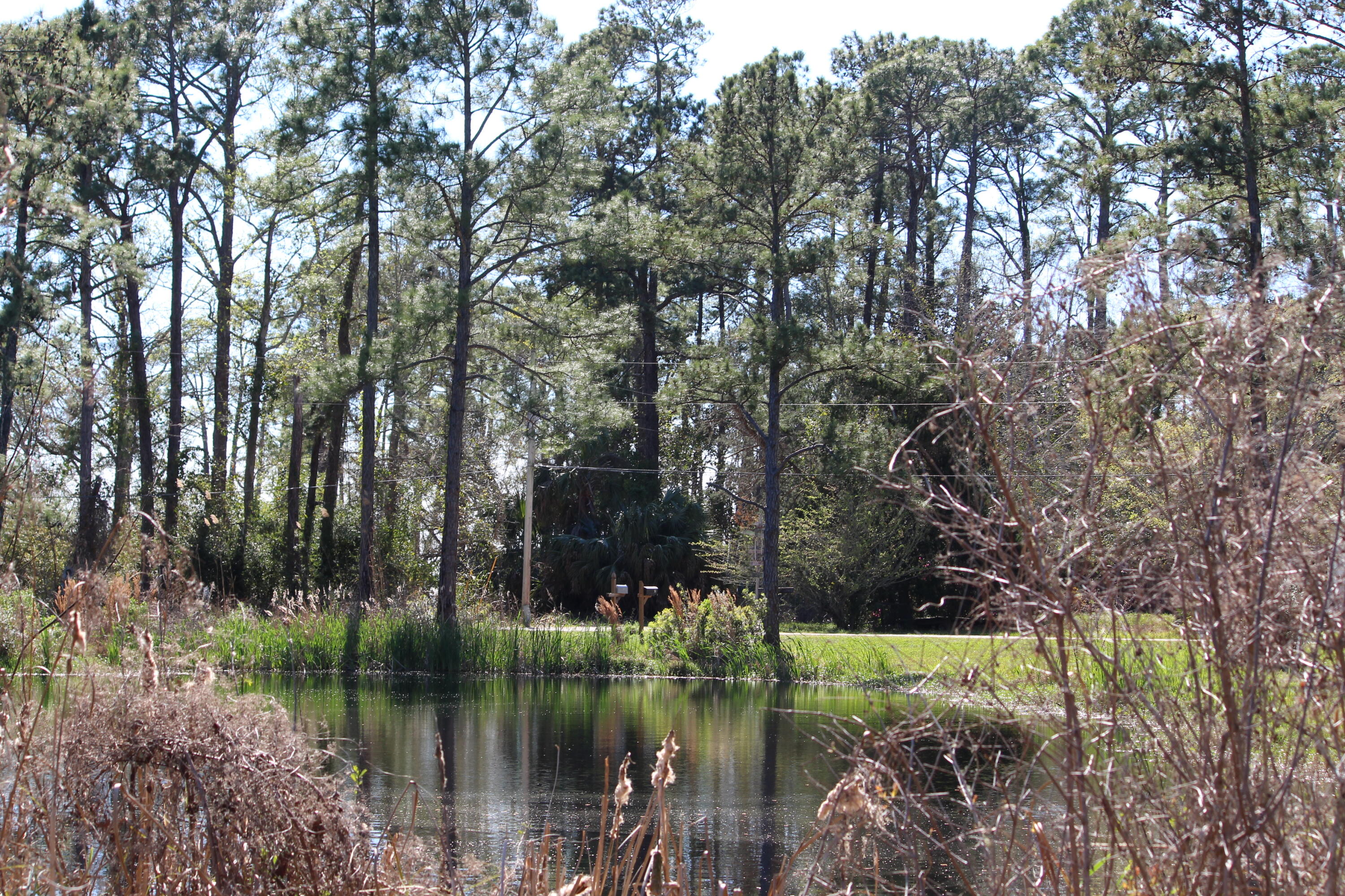 Lot 6-7 Alden Lane Freeport, FL 32439 - Photo 26 of 26 a view of lake view