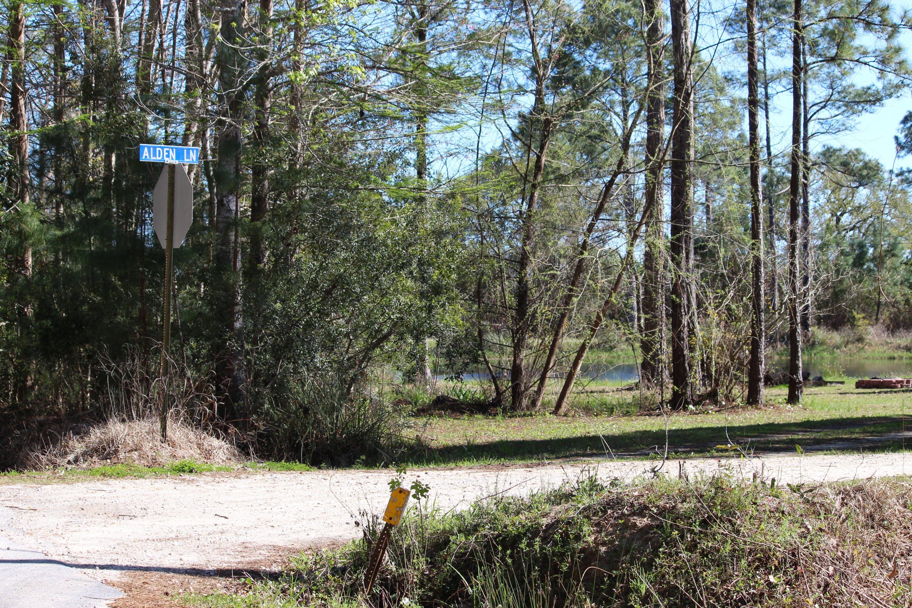 Lot 6-7 Alden Lane Freeport, FL 32439 - Photo 9 of 26 a view of a yard