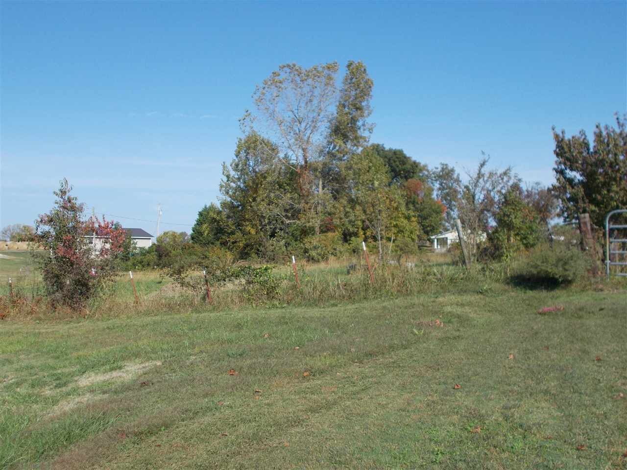 4886 Lightfoot Luckett Road Ripley, TN 38063 - Photo 10 of 13
