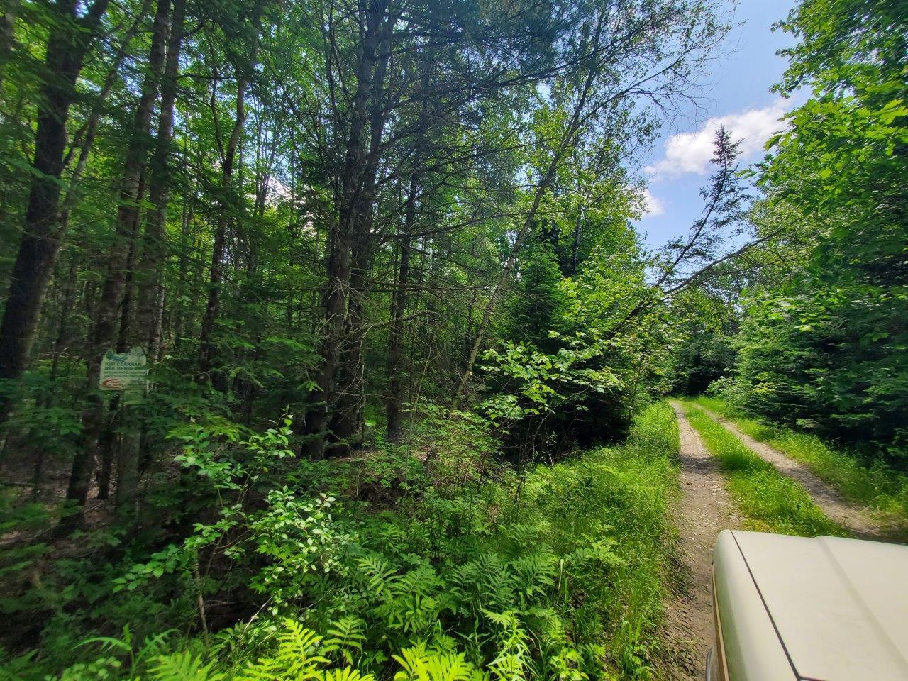 0 Morgan Road Burnham, ME 04922 - Photo 12 of 69 20250617_123828