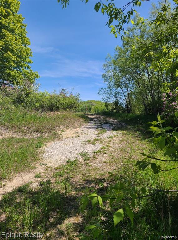 0 Hebron Mail Route Road Cheboygan, MI 49721 - Photo 4 of 16