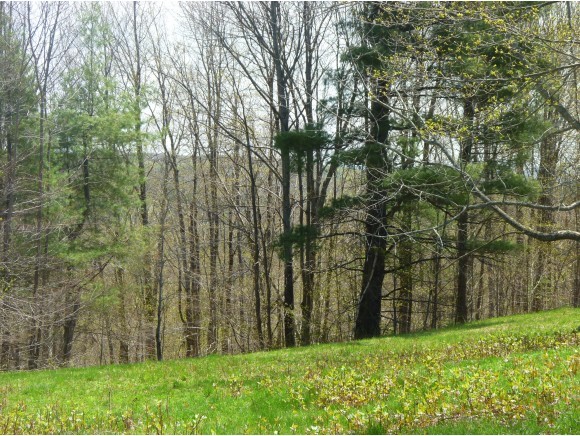 North Hill Road Andover, VT 05143 - Photo 2 of 12