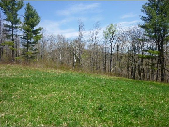 North Hill Road Andover, VT 05143 - Photo 4 of 12