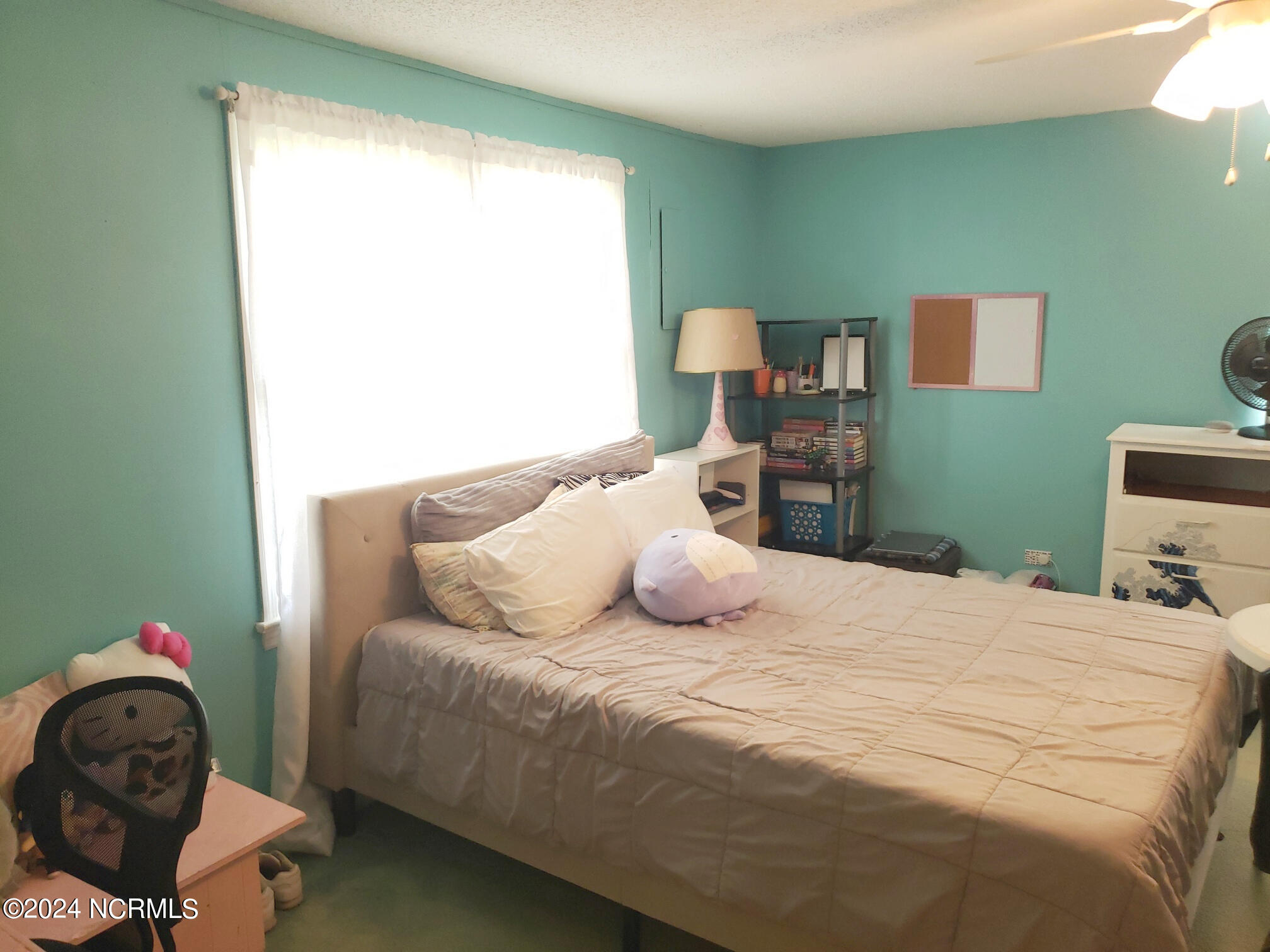 473 Forehand Road Pikeville, NC 27863 - Photo 20 of 33 BR 2 DOWNSTAIRS - VIEW 2