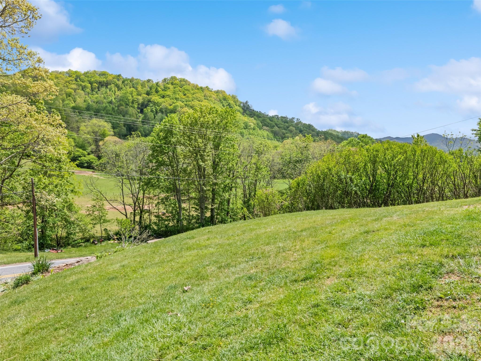 3607 Max Patch Road Clyde, NC 28721 - Photo 11 of 12