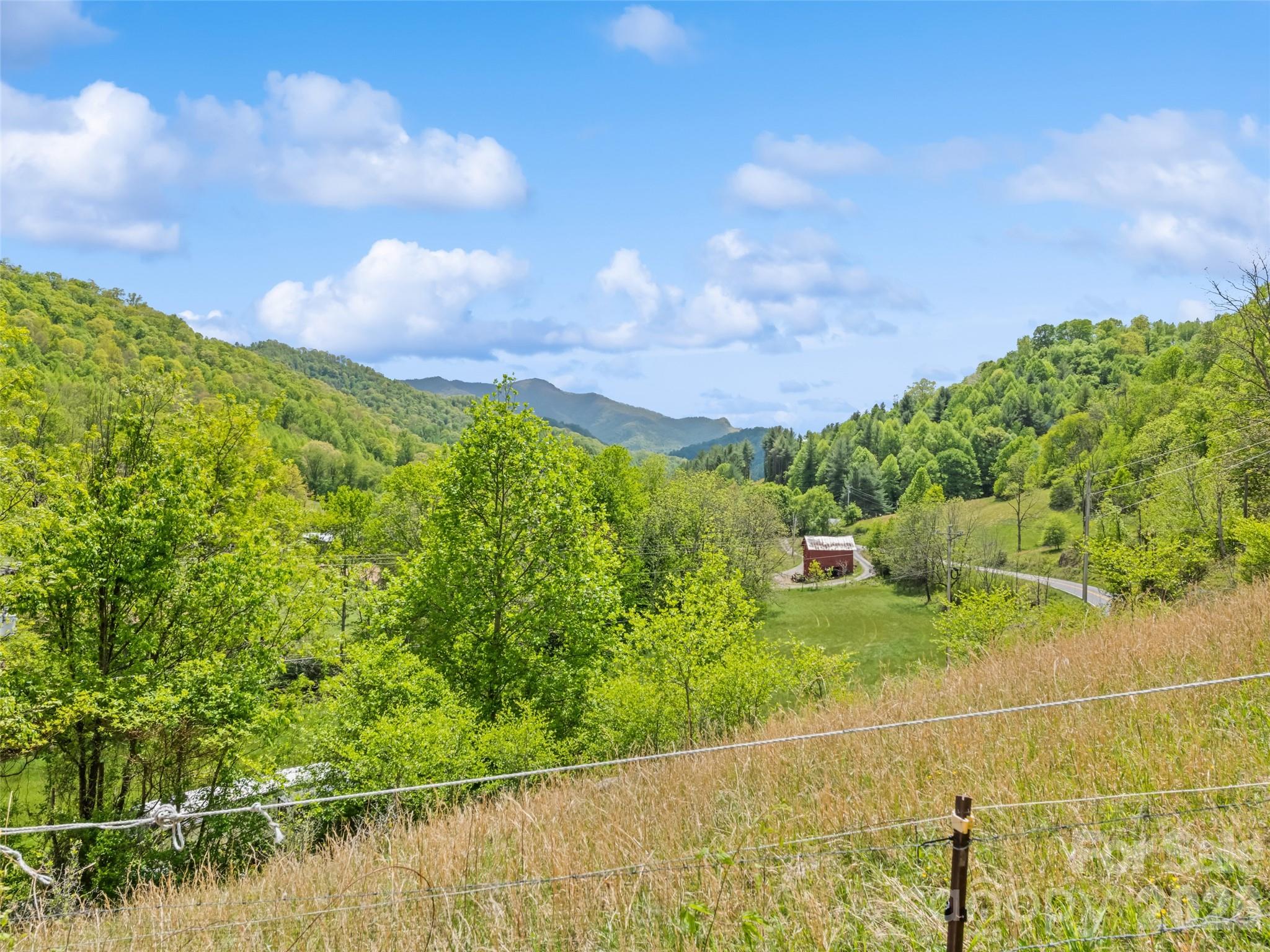 3607 Max Patch Road Clyde, NC 28721 - Photo 7 of 12