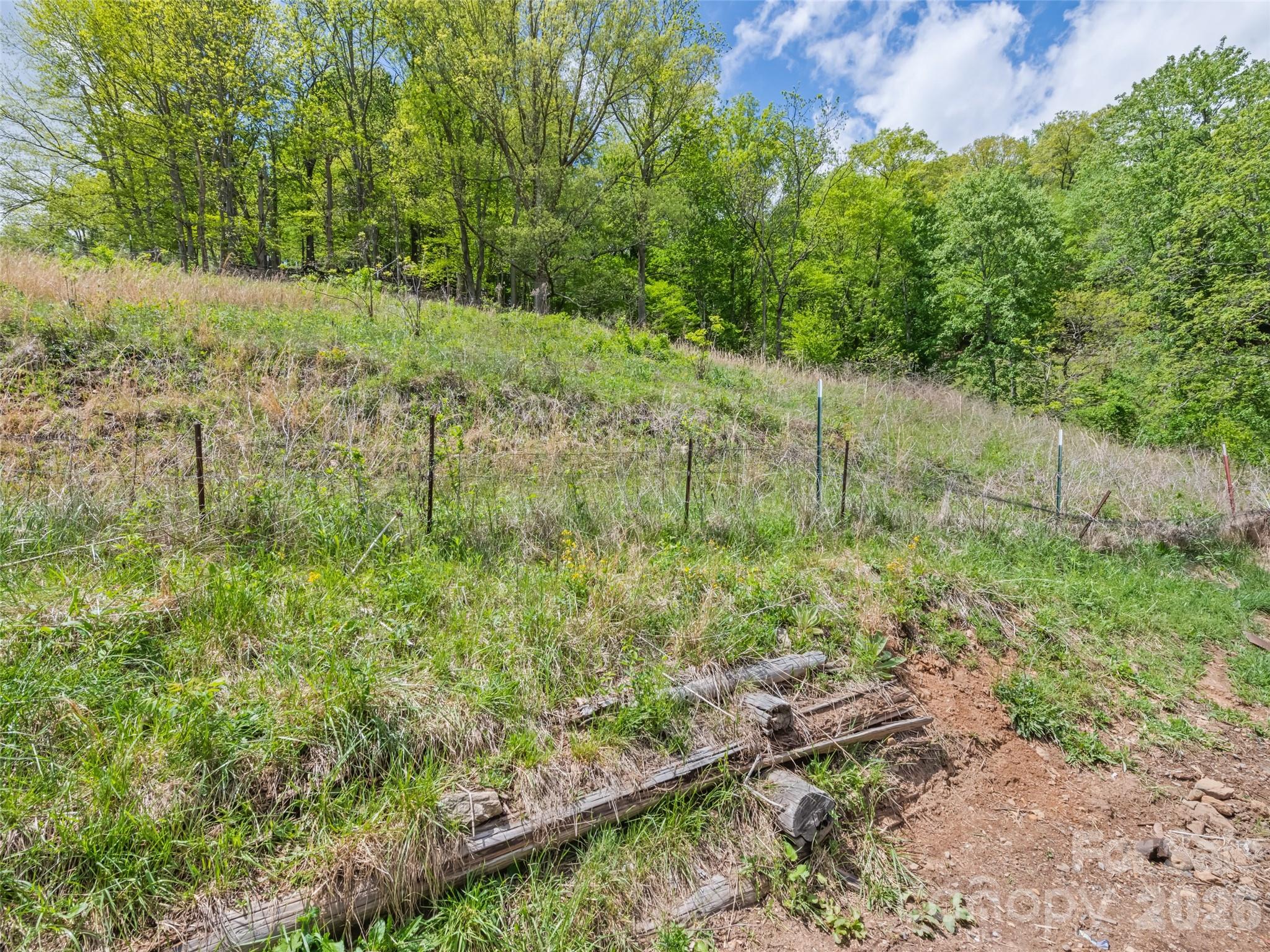 3607 Max Patch Road Clyde, NC 28721 - Photo 8 of 12