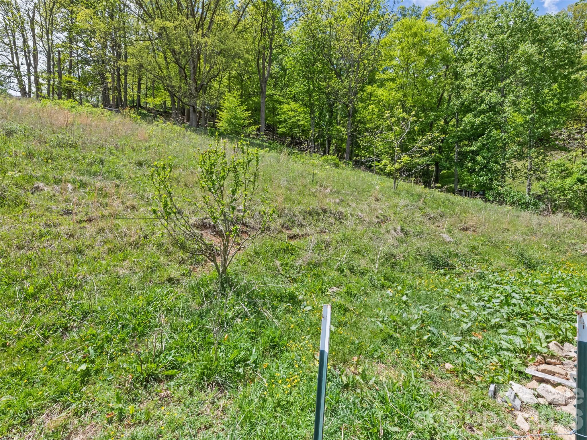 3607 Max Patch Road Clyde, NC 28721 - Photo 10 of 12
