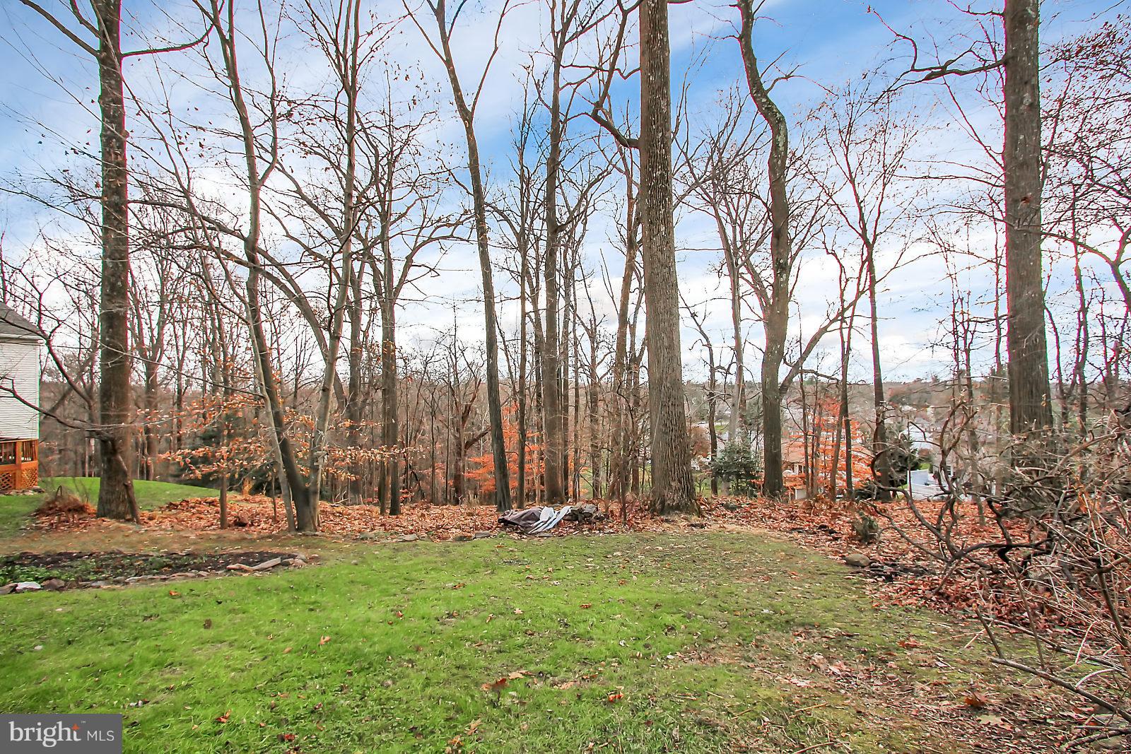 10879 Sandringham Road Cockeysville, MD 21030 - Photo 27 of 30 Elevated setting - looks out to trees!