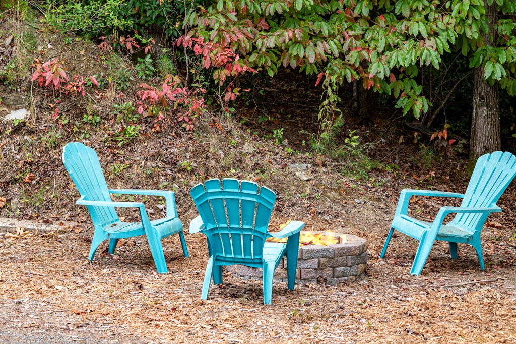 6 Gilliam Road Mineral Bluff, GA 30559 - Photo 13 of 42 a view of a backyard with plants and chairs