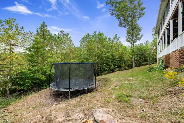 a backyard of a house with lots of green space