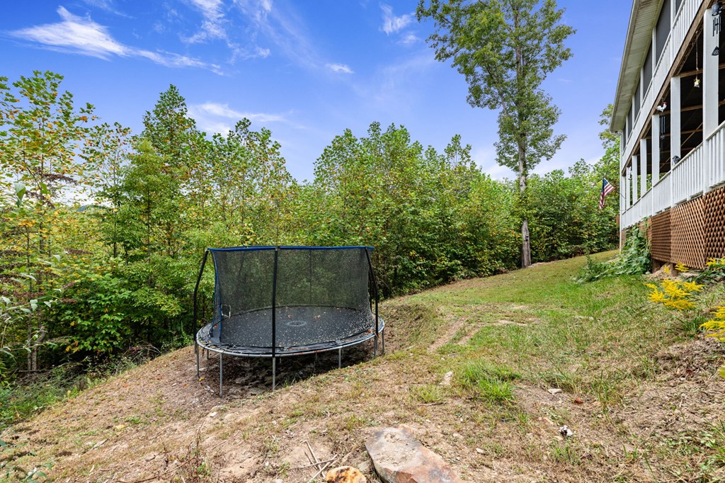 6 Gilliam Road Mineral Bluff, GA 30559 - Photo 42 of 42 a backyard of a house with lots of green space