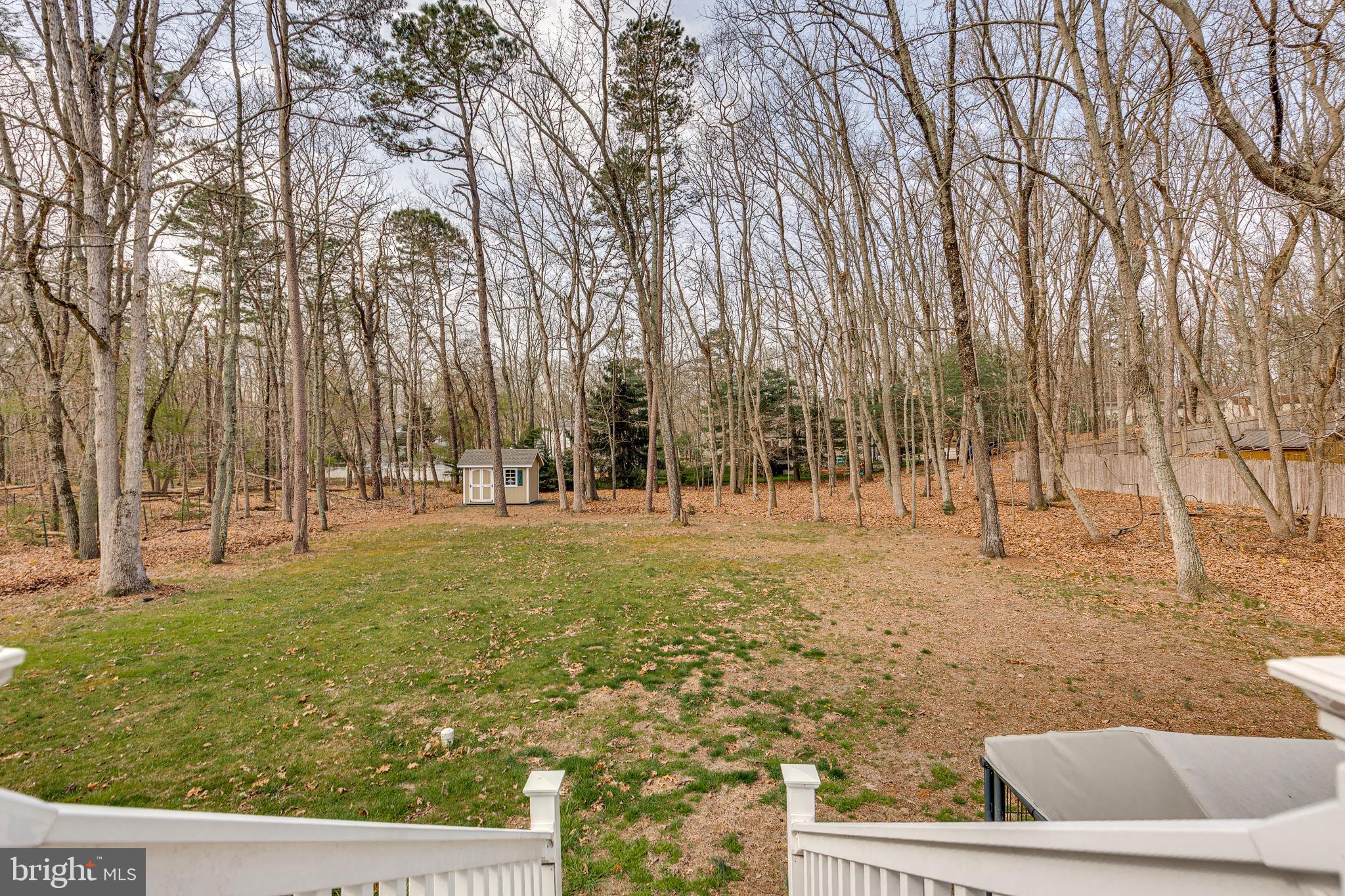 407 Indian Mills Road Shamong, NJ 08088 - Photo 16 of 39 a view of yard with trees