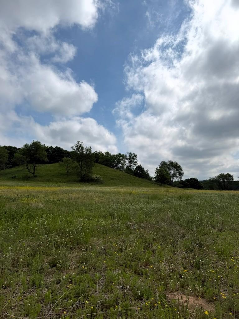 Lot 2 County Road Boyceville, WI 54725 - Photo 8 of 12
