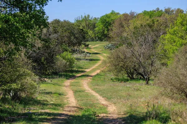 $5,490,000 | 10250 East Fm 501, San Saba, TX 76877