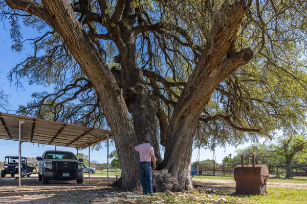 $5,490,000 | 10250 East Fm 501, San Saba, TX 76877