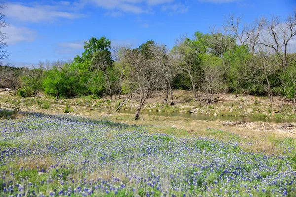 $5,490,000 | 10250 East Fm 501, San Saba, TX 76877