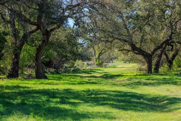 $5,490,000 | 10250 East Fm 501, San Saba, TX 76877