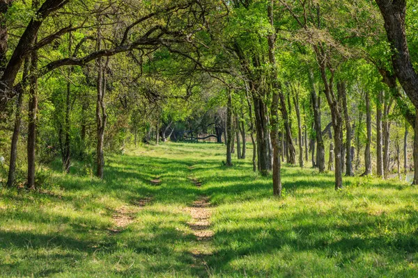 $5,490,000 | 10250 East Fm 501, San Saba, TX 76877