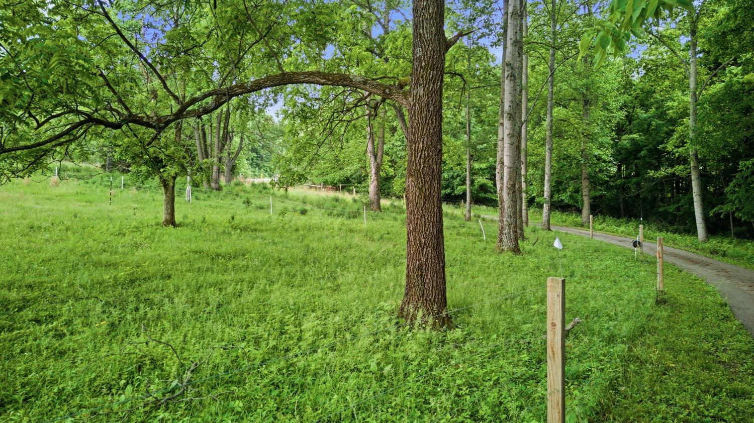 15126 State Rte 101 Brookville, IN 47012 - Photo 47 of 57 Plenty of room for animals or entertaining