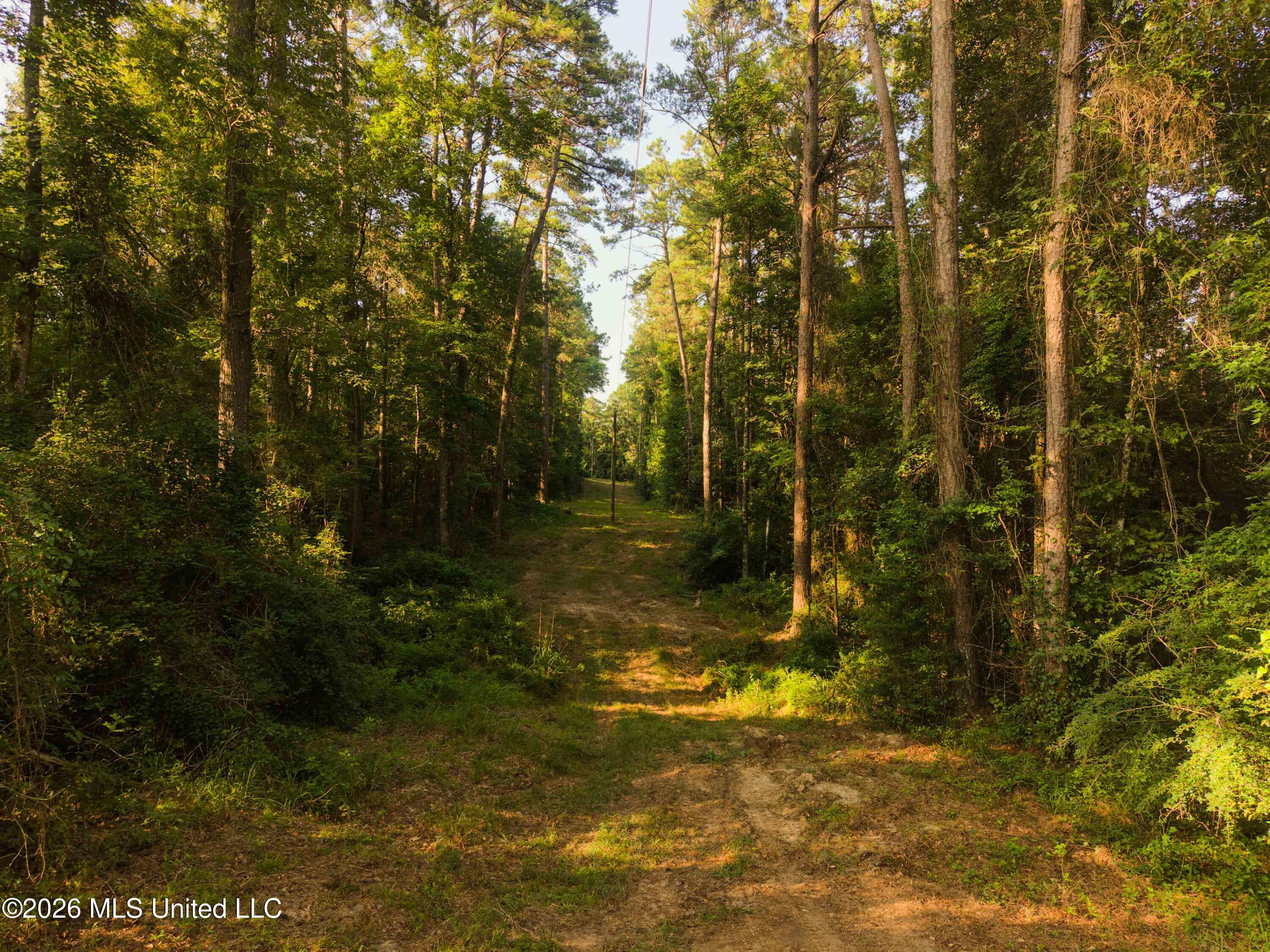 235 Woodrow Martin Road Brandon, MS 39042 - Photo 22 of 36 watsonphotography260721081316