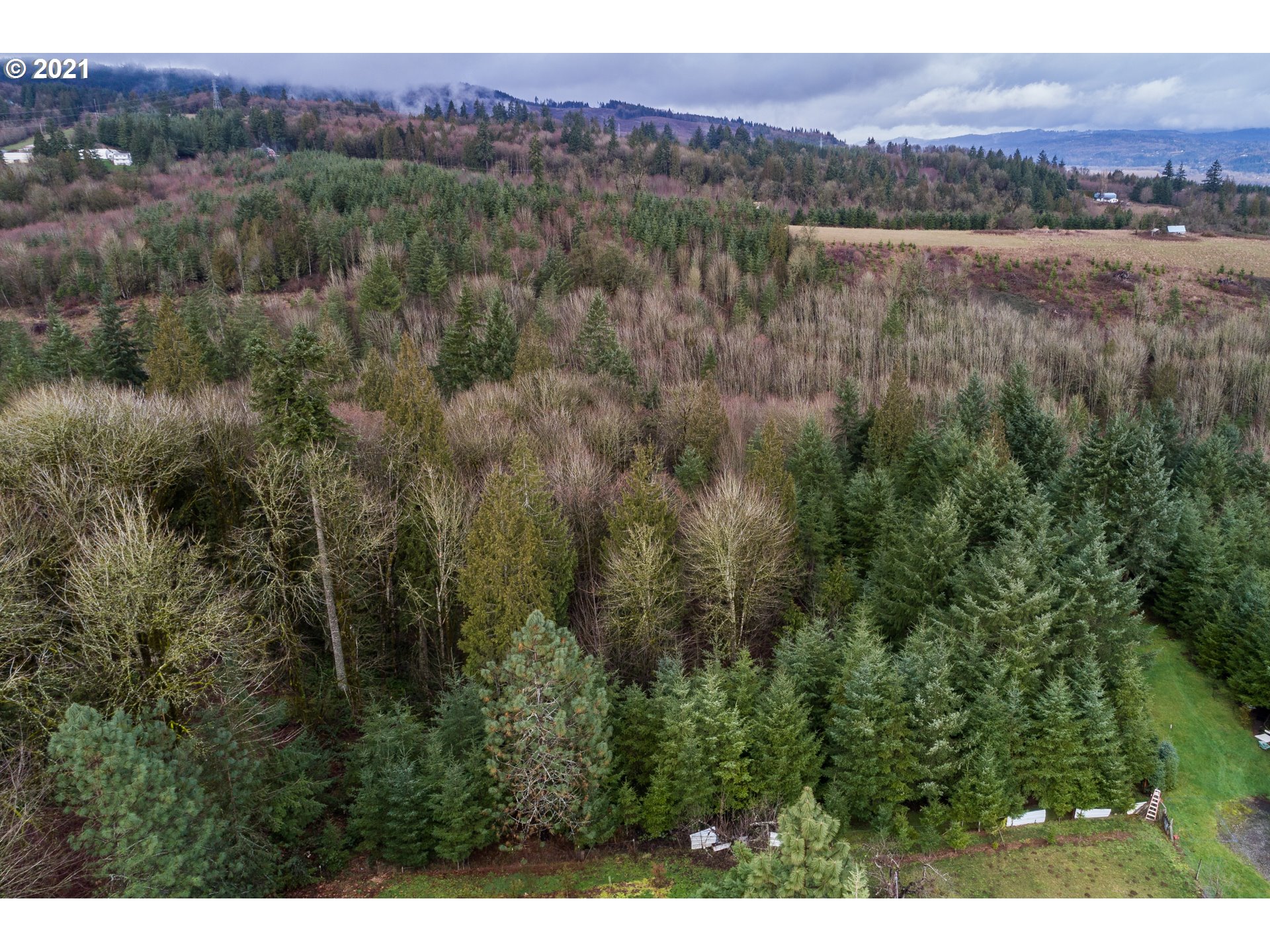 32263 Bishop Road Rainier, OR 97048 - Photo 20 of 24