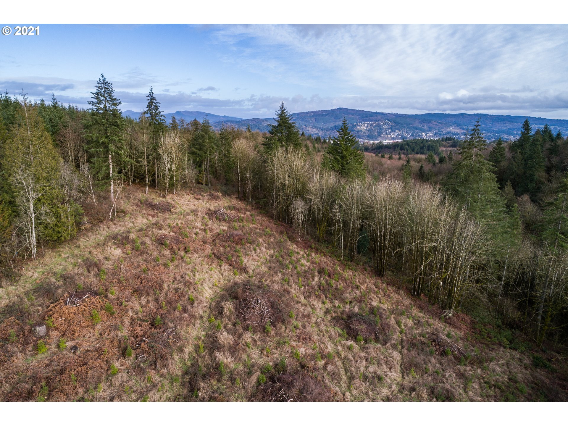 32263 Bishop Road Rainier, OR 97048 - Photo 21 of 24