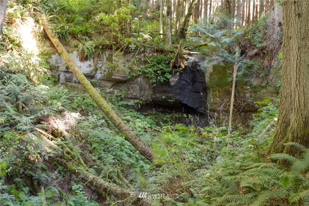 21449 Starbird Road Mount Vernon, WA 98274 - Photo 20 of 23 Gallery Image 20