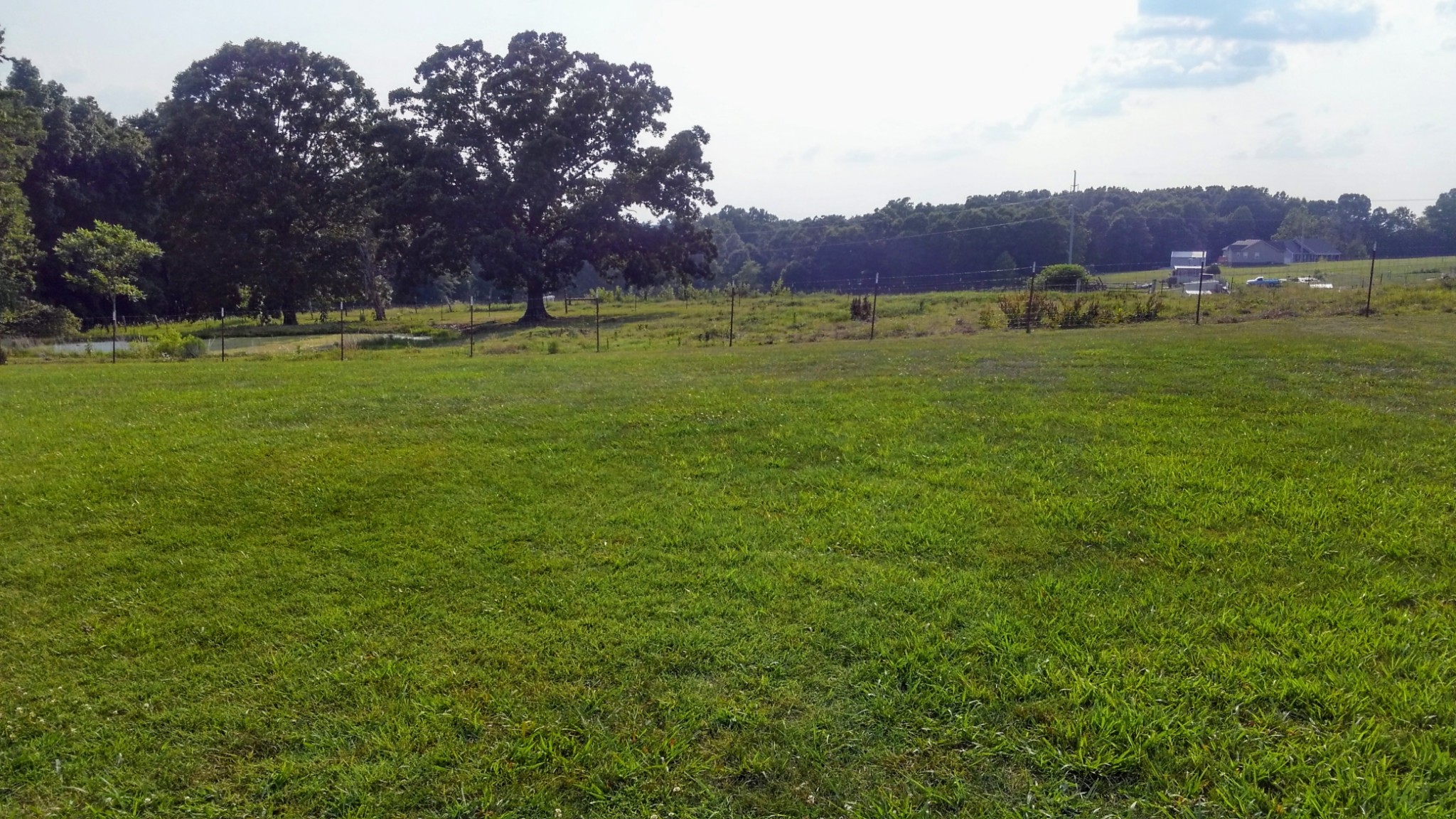 1474 East Ab Wade Road Portland, TN 37148 - Photo 12 of 45 Gallery Image 12
