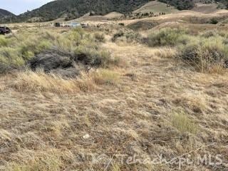 166 Apache Street Tehachapi, CA 93561 - Photo 9 of 11 Gallery Image 9