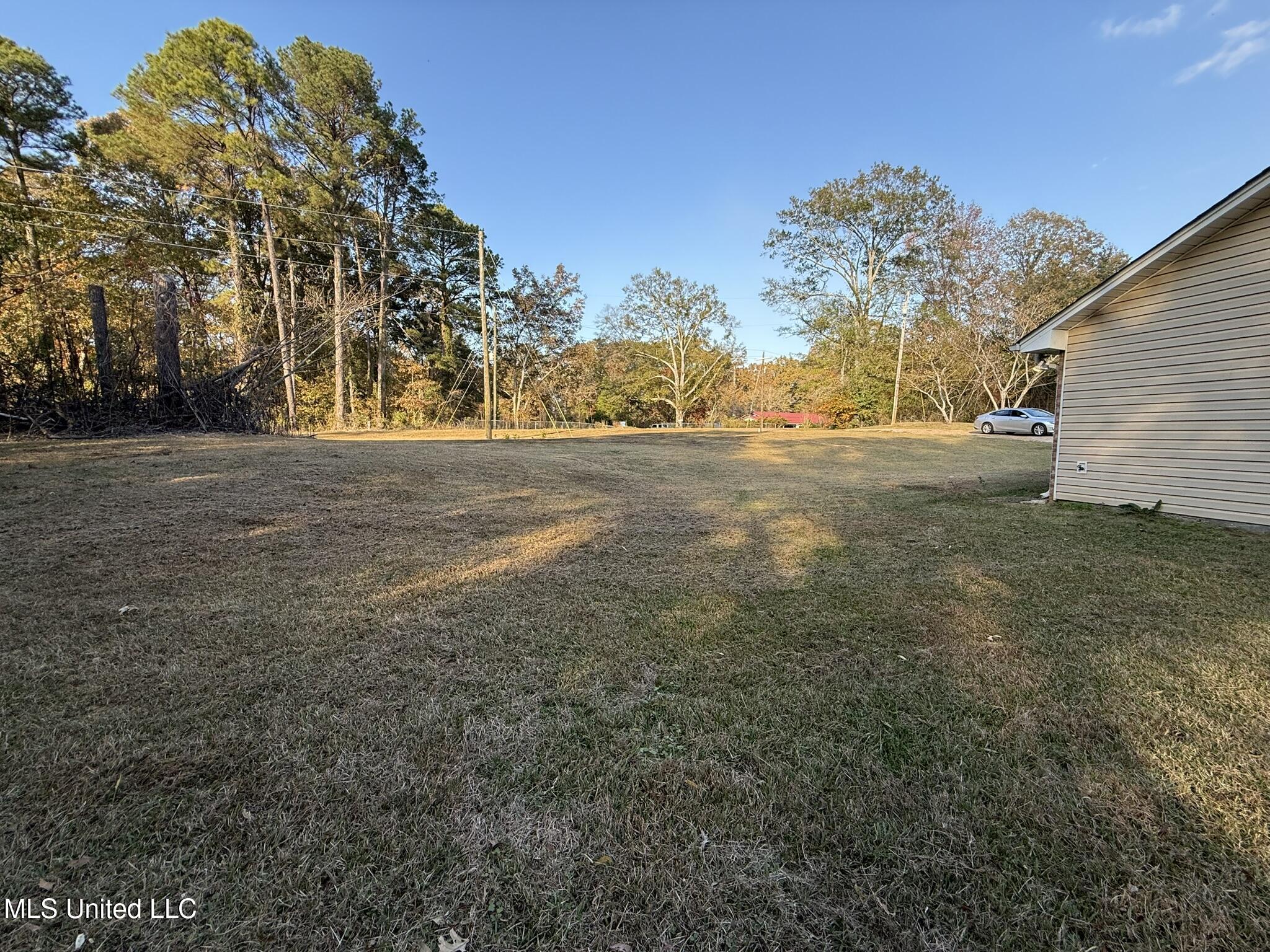 4545 Tom Collins Road Utica, MS 39175 - Photo 5 of 13 Side Yard