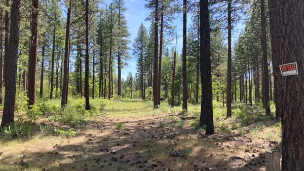 $40,000 | Lot 24 Big Lake Road, McArthur, CA 96056