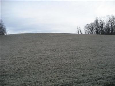 349 Pleasant Spgs Road Carlisle, KY 40311 - Photo 2 of 4 Photo 2