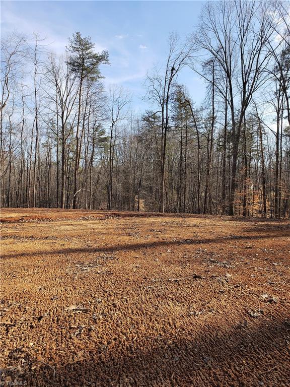 7238 Alcorn Road Greensboro, NC 27409 - Photo 18 of 25 Gallery Image 18