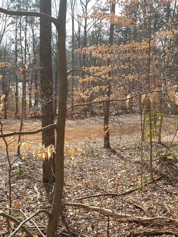 7238 Alcorn Road Greensboro, NC 27409 - Photo 21 of 25 Gallery Image 21