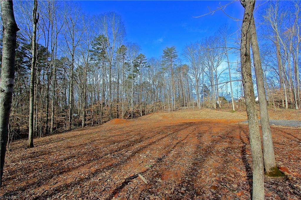 7238 Alcorn Road Greensboro, NC 27409 - Photo 8 of 25 Gallery Image 8