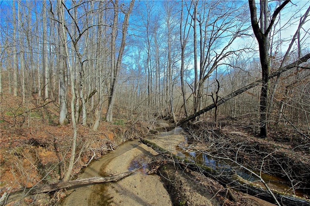 7238 Alcorn Road Greensboro, NC 27409 - Photo 9 of 25 Gallery Image 9