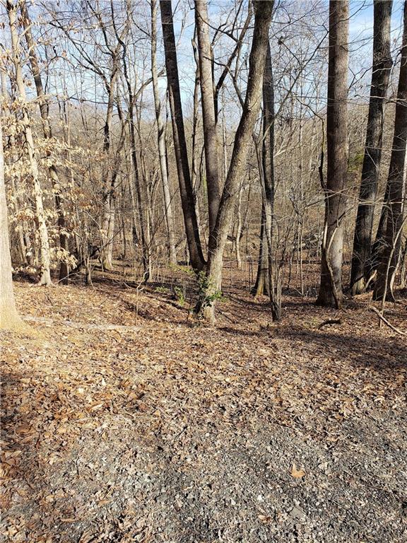 7238 Alcorn Road Greensboro, NC 27409 - Photo 10 of 25 Gallery Image 10
