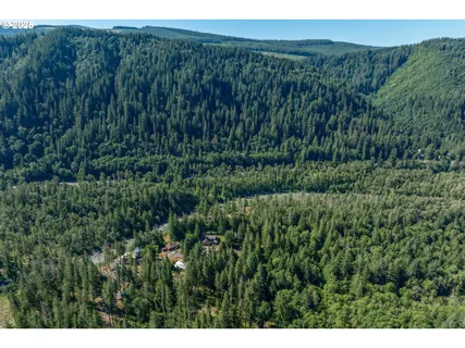 a view of a lush green forest with trees and some houses