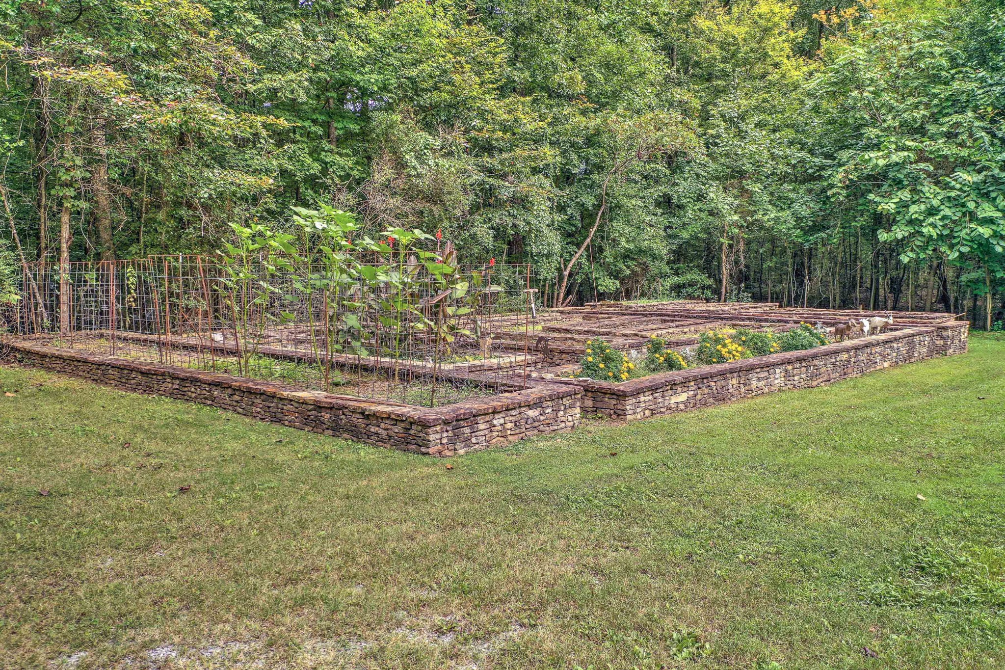 1331 Smith Thompson Road Bethpage, TN 37022 - Photo 6 of 35 a view of a backyard with swimming pool