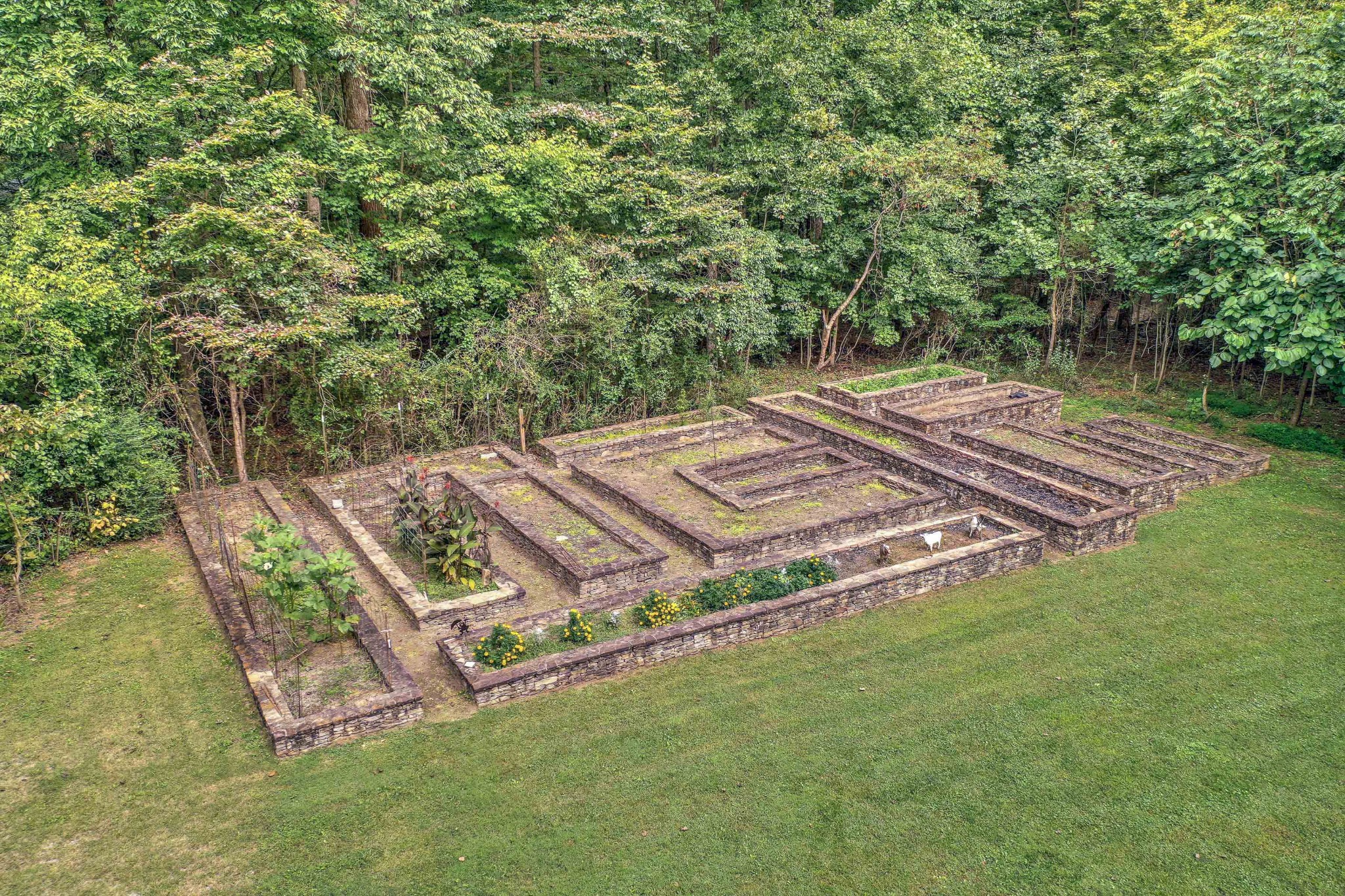1331 Smith Thompson Road Bethpage, TN 37022 - Photo 7 of 35 a view of a backyard with a garden and plants