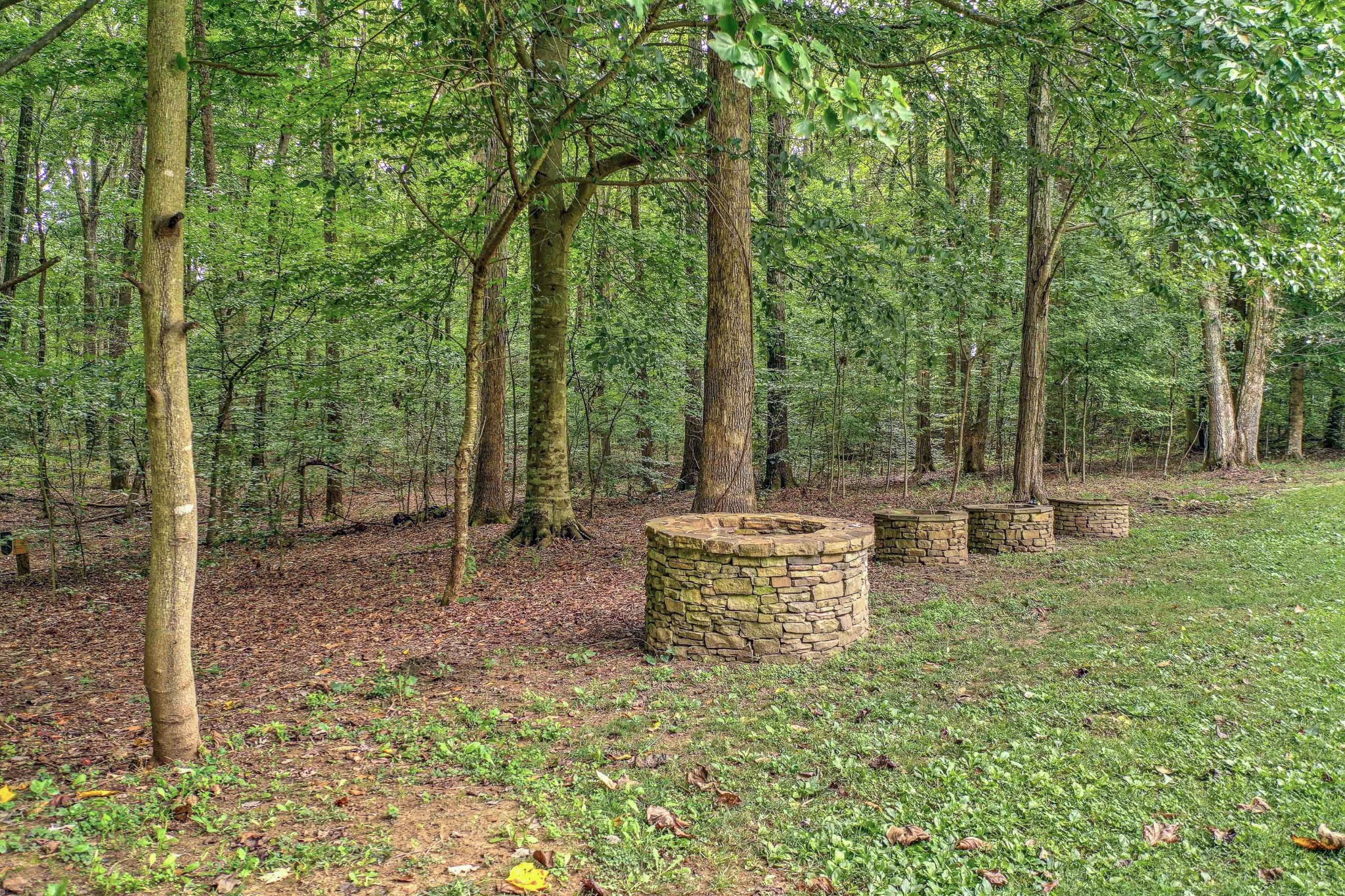 1331 Smith Thompson Road Bethpage, TN 37022 - Photo 8 of 35 a backyard of a house with table and chairs